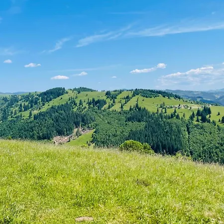 карпатська бульбона